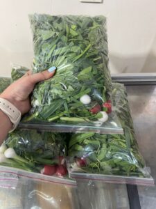 سبزی خوردن پاک شده