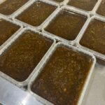 سس مرغ شمالی