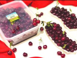 آلبالو با هسته