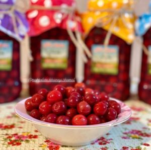 ترشی آلبالو